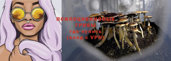 кокс Алзамай
