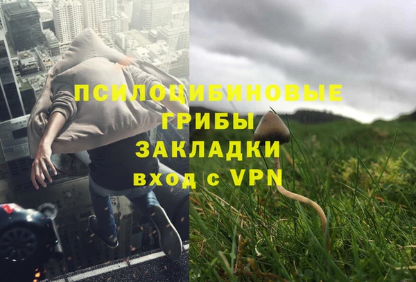 спайс Алексин