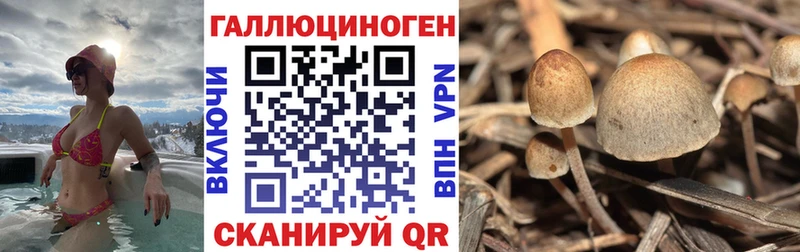 Галлюциногенные грибы Magic Shrooms  хочу   ссылка на мегу маркетплейс  Людиново 